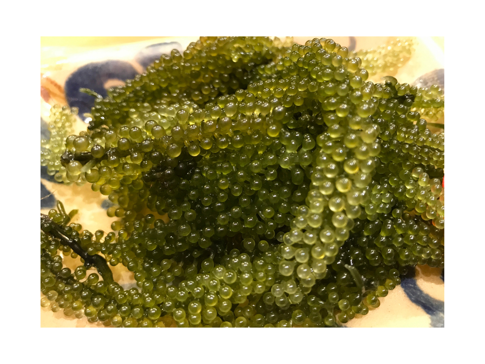 5. Cách sử dụng Rong nho